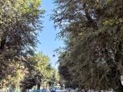 Appartamento in vendita a Bologna BO