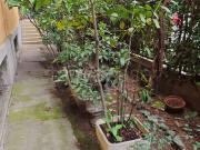 Appartamento in vendita a Bologna, Murri