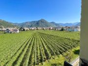 Appartamento in vendita a Bolzano