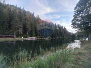 Appartamento in vendita a Borgo d'Anaunia TN