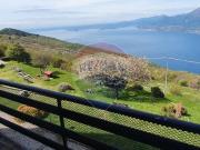 Appartamento in vendita a Brenzone