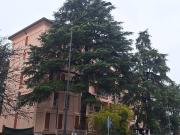 Appartamento in vendita a Brescia BS