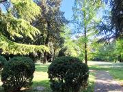 Appartamento in Vendita a Brescia ZONA VOLTA