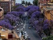 Appartamento in vendita a Cagliari, Castello