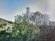 Terreno in vendita a Olbia SS