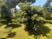 Appartamento in vendita a Camaiore LU
