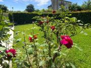 Appartamento in vendita a Campi Bisenzio FI