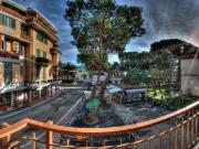 APPARTAMENTO in VENDITA a CAMPO NELL'ELBA CENTRO di...