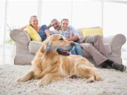 Appartamento in vendita a Carpi