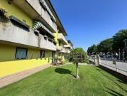 Appartamento in vendita a Casaleone