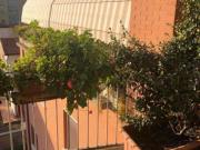 Appartamento in vendita a Casciavola Cascina 70 mq Rif:...