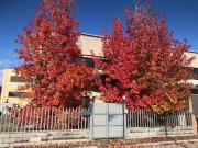 Appartamento in vendita a Cascina PI