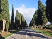 Appartamento in vendita a Castagneto Carducci LI