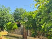 Appartamento in vendita a Castel Sant'Elia VT