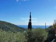 Appartamento in vendita a Castellaro