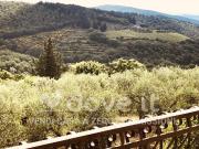 Appartamento in vendita a Castellina In Chianti