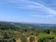 Appartamento in vendita a Castellina Marittima PI Appartamento in vendita a Castellina Marittima PI