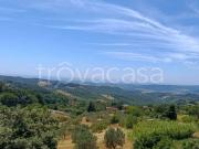 Appartamento in vendita a Castellina Marittima via della...