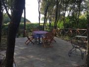 Appartamento in vendita a Castiglione della Pescaia GR