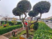 Appartamento in vendita a Cattolica RN