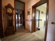 Appartamento in Vendita a Cavarzere