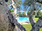 Appartamento in vendita a Cecina LI Appartamento in vendita a Cecina LI