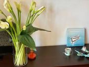 Appartamento in vendita a Cervia RA