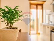 Appartamento in vendita a Colleferro