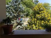Appartamento in vendita a Collesalvetti