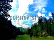 Appartamento in vendita a Cortina d'Ampezzo BL