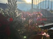 Appartamento in vendita a Cumiana