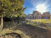 Appartamento in vendita a Cupramontana AN