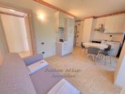 Appartamento in vendita a Desenzano Del Garda