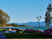 Appartamento in Vendita a Desenzano del Garda