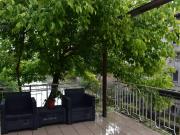 Appartamento in vendita a Due Carrare PD