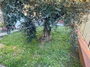 Appartamento in vendita a Empoli FI Appartamento in vendita a Empoli FI