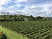 Appartamento in vendita a Erbusco