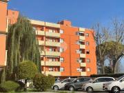 Appartamento in vendita a Fano PU Appartamento in vendita a Fano PU