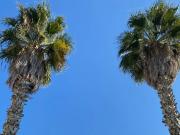 Appartamento in vendita a Favignana TP