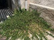 Appartamento in vendita a Favignana TP