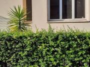 Appartamento in vendita a Firenze FI
