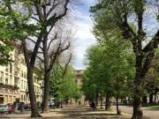 Appartamento in vendita a Firenze FI Appartamento in vendita a Firenze FI