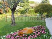 Appartamento in vendita a Firenze FI