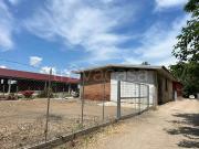 Appartamento in vendita a Fiumicino viale Maria, Maccarese