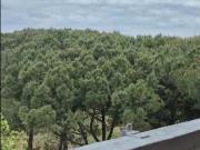 Appartamento in vendita a Follonica