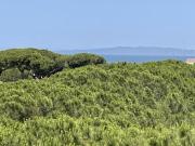 Appartamento in vendita a Follonica