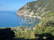 Appartamento in vendita a Framura SP