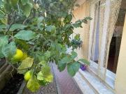 Appartamento in vendita a Genova GE
