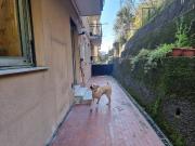 Appartamento in vendita a Genova GE Appartamento in vendita a Genova GE