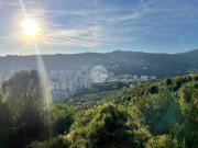 Appartamento in vendita a Genova GE